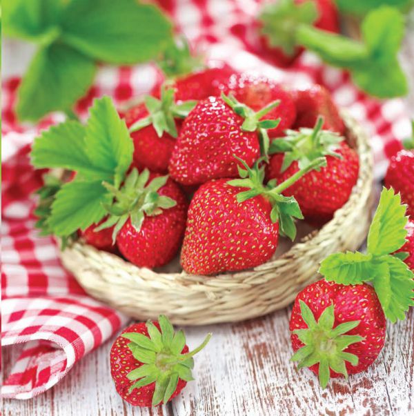 Çilek  Soğuk Hava Deposu